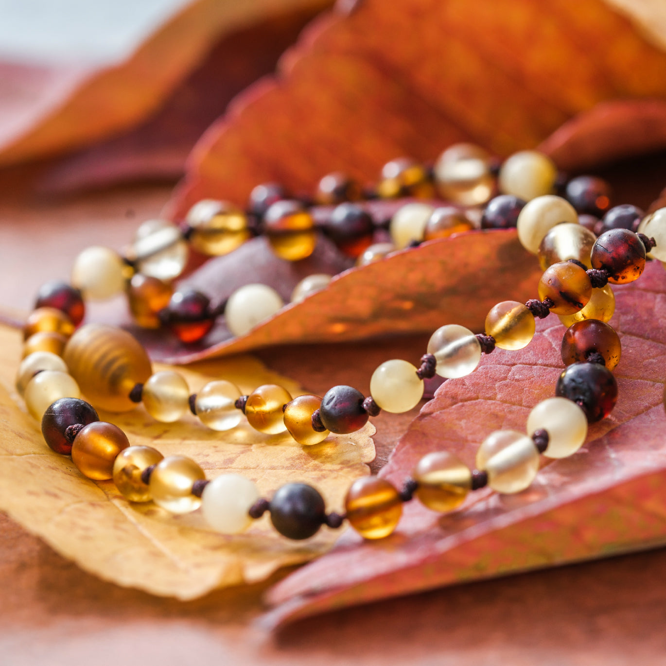 Multicolor Baltic Amber Jewelry