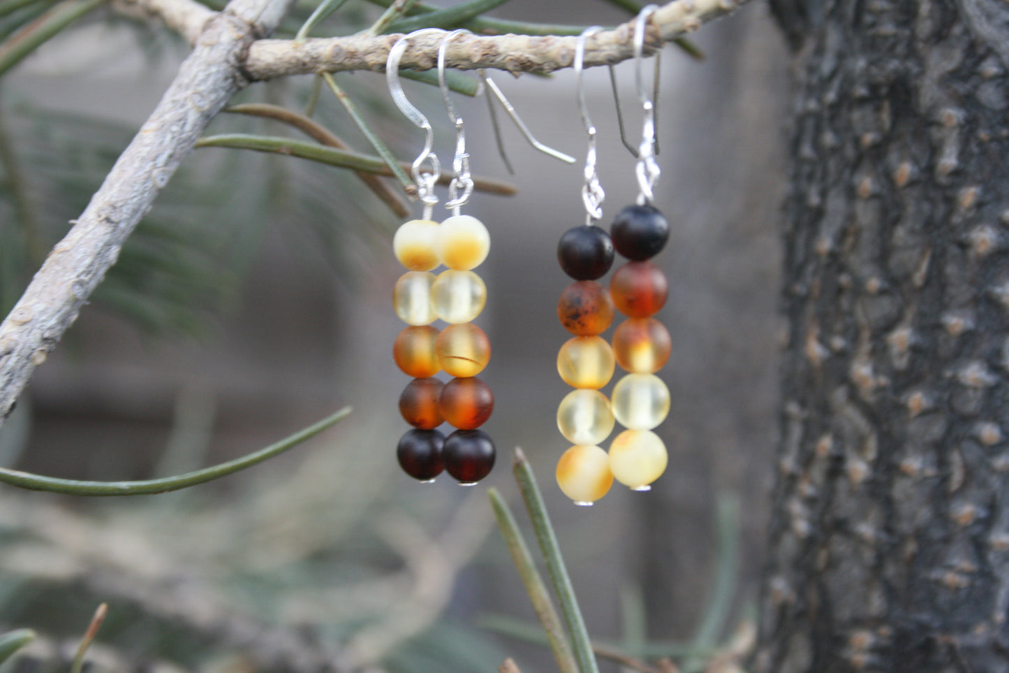 Sterling Silver Baltic Amber Earrings, Sunrise or Sunset Style