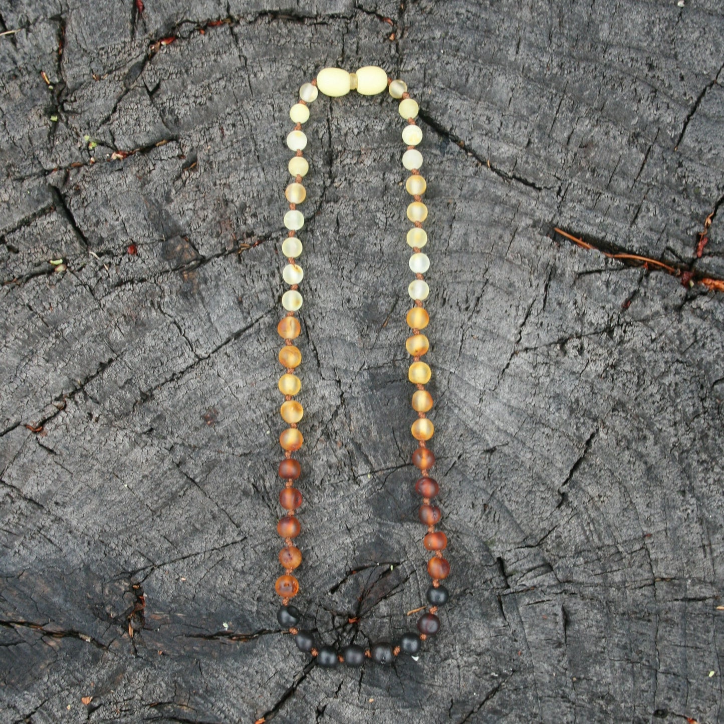 Ombre Round Unpolished Baltic Amber Necklace, Anklet, or Bracelet
